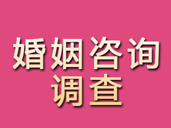 鄢陵婚姻咨询调查